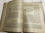 1928 Гибриды прямых производителей в Одесском округе, Вісник садівництва, фото №9