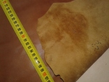 Кожа (коричневый) баран 104дм, фото №3