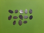 Серебряные чешуйки разных правителей №2, фото №2