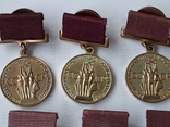Комплект медалей ВСХВ-ВДНХ СССР, фото №4