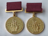 Комплект медалей ВСХВ-ВДНХ СССР, фото №6