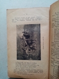 Данило Нечай 1914 год.Олелько Островський подпись автора, фото №10