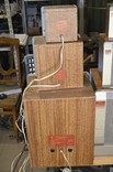 Акустическая система Электроника 50АС-107, фото №6