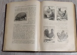 Книга "Итоги науки"1912год, фото №11