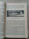 Воздушные вездеходы 1964 год., фото №6