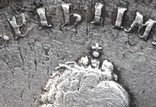 Полуполтинник 1743 год ММД, фото №8