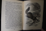 В.Бондаренко,,Звірі наших лісів,,1988р., фото №6