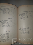 1909 Руководство к осмотру мяса и устройству боень в 3 выпусках, фото №3