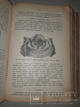 1909 Руководство к осмотру мяса и устройству боень в 3 выпусках, фото №6