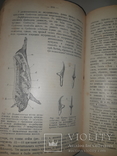 1909 Руководство к осмотру мяса и устройству боень в 3 выпусках, фото №9