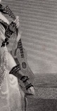 Старинная гравюра. 1830 год. Салирская невеста. (27,4х20,6см.)., фото №4
