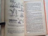 Садоводство и цветоводство 1983 335 с. ил. Учебное пособие., фото №8