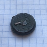 Монета Ольвии, фото №6