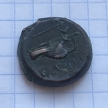 Монета Ольвии, фото №7