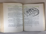 Українські страви 1959 год, фото №8
