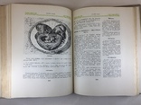 Українські страви 1959 год, фото №9
