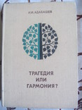 Абадашев И.и. Трагедия или гармония?, фото №2