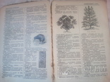 Словник іноземних слів з ілюстраціями Одеса липень 1914р., фото №5