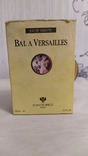 Bal a Versallies Франция времен СССР., фото №7