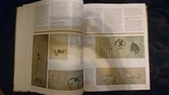 Велика ілюстрована енциклопедія історії мистецтв.Махаон 2008 г.Тираж 7000, фото №12