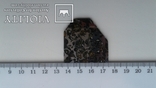 Метеорит Сеймчан (Seymchan), фото №2