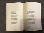 Володимир Бровченко за тиждень до Воскресіння, фото №4