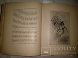 1908 Эротика офорты обнаженное женское тело, фото №7