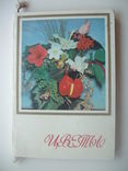 1981 Цветы комнатные растения декоративноцветущие кустарники, фото №2