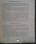 Справочник шофера (Автотрансиздат, 1960 год)., фото №8