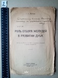 Роль отбора желудей в развитии дуба 1922 года. подпись автора, фото №2