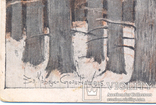 Каргус-Смоленский В глухом лесу изд. Рассвет Киев 1915, фото №3