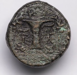 Еоліда, м.Кіми, ІІ ст.до н.е. – Артеміда / ойнохоя, фото №6