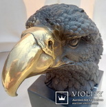 Голова белоголового орла бронза мрамор Европа 3,88 кг, фото №6