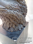 Голова белоголового орла бронза мрамор Европа 3,88 кг, фото №7