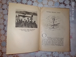 Книга-Полеты,М.В.Водопьянов,1937г,тираж-20000 экз., фото №10