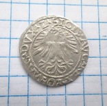 Полугрош 1562 г., фото №3