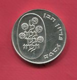 Израиль 10 лирот 1974 аUNC серебро Древние деньги, фото №2