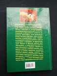 Праздничные салаты: мясо, грибы, рыба, фрукты, ассорти. Рецепты. М., 2003 г., фото №10
