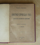 Аристократическая Раса., фото №3