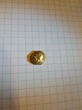 Античная золотая монета, фото №2