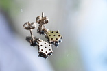Серебрянные сережки чешские гранаты пиропы, фото №8