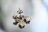 Серебрянные сережки чешские гранаты пиропы, фото №9