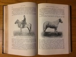 Книга о лошади князь С.П. Урусов в 2-х томах 3-е издание 1911 г., фото №13