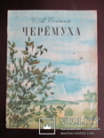 С.Есенин. Черемуха.1979, фото №2