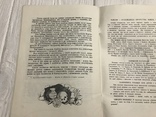 Срібна гривна, історичне оповідання, фото №8