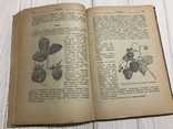 1941 Определитель сортов плодово-ягодных культур, фото №11