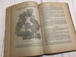 1941 Определитель сортов плодово-ягодных культур, фото №13