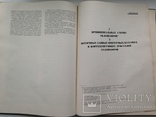 Эксплуатация и ремонт телевизоров 1964 208 с.ил. Большой формат. 220х295 мм., фото №9