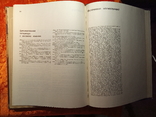 Две книга-альбом.1.Неандертальцы.2.Кроманьонский человек.1978,1979 г.г., 75000 тираж., фото №4