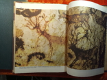 Две книга-альбом.1.Неандертальцы.2.Кроманьонский человек.1978,1979 г.г., 75000 тираж., фото №6